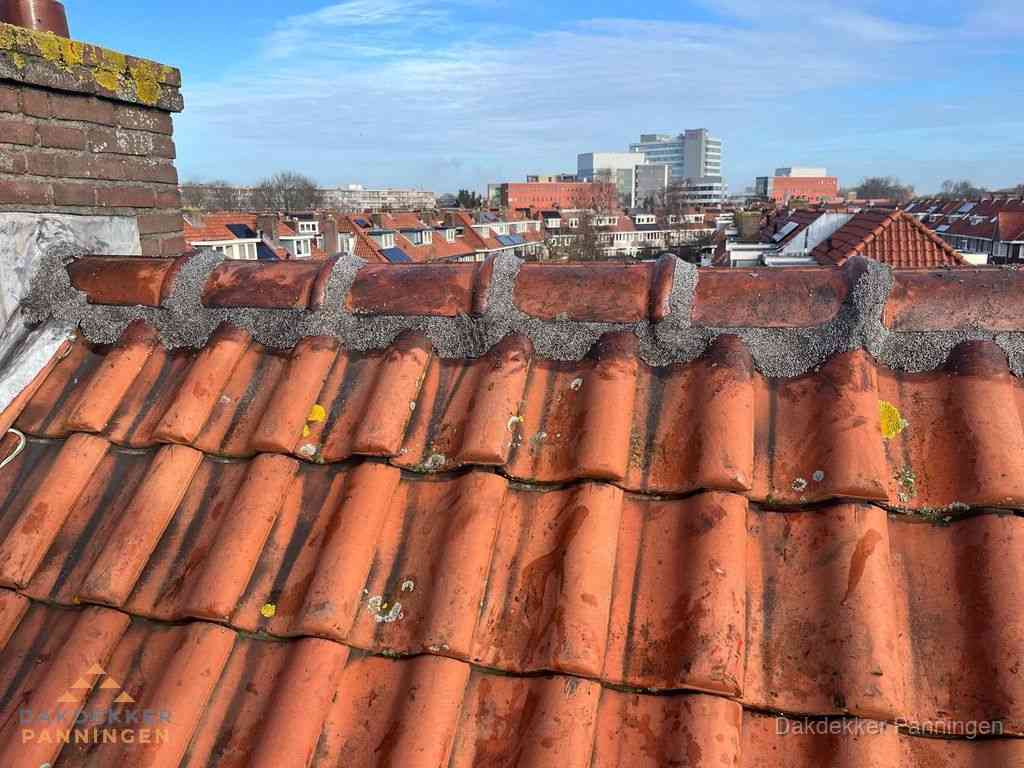 Panningen Daken Renoveren Panningen Daken Renoveren